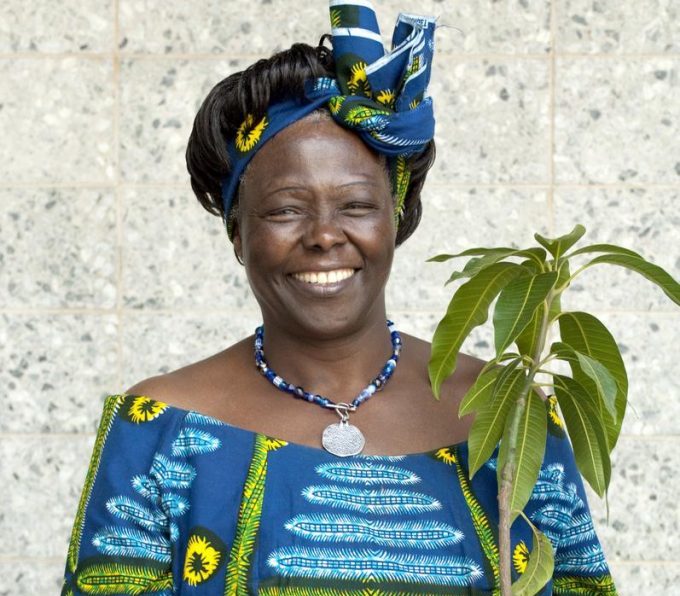 Wangari Maathai - Global IT Solutions